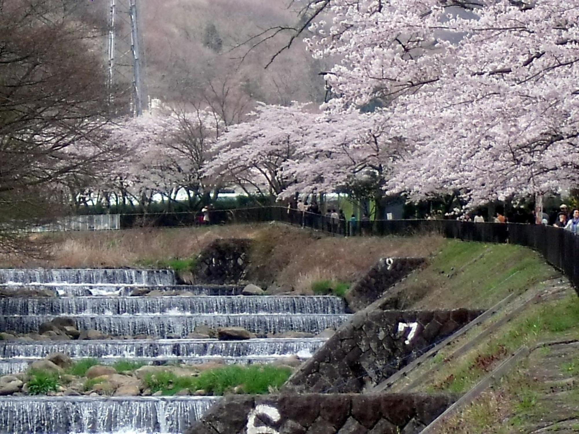 箱根強羅温泉　ホテル佳山水 エクステリア 写真